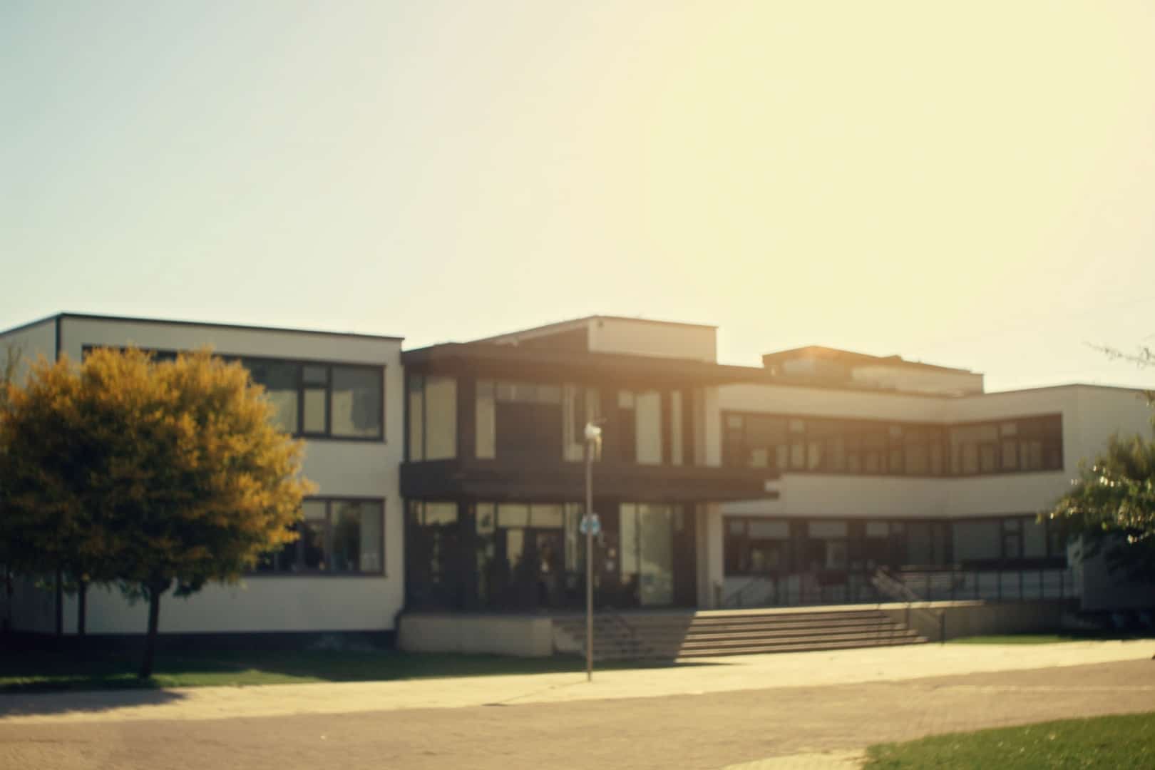 Modernes Schulgebäude mit Vorplatz und Baum im Sonnenlicht